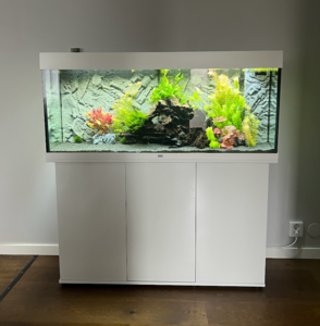 Sällskapsakvarium 240L