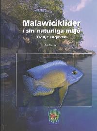 Malawiciklider i sin naturliga miljö