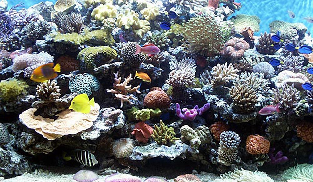 Salvattensakvarium 200x80x60cm