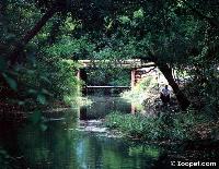 Centralamerika - Ulumal, Yucatán.