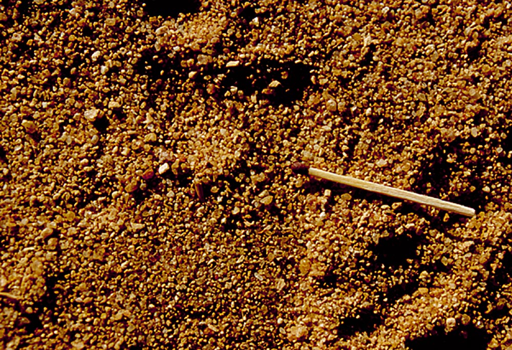 Fotot visar vilken typ av sand/grus som man hittar i Malawisjön. Foto: Kjell Fohrman