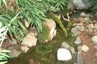 Tropicarium Kolmården