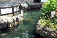 Underwater World, Singapore