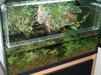 Paludarium