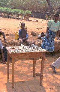 Ndifuni Kupita Ku Malawi - del 4