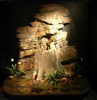 Paludarium