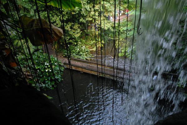 Burgers Zoo, Arnhem