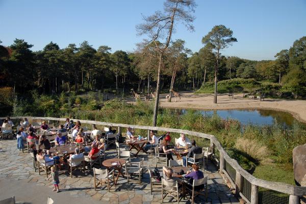 Burgers Zoo, Arnhem