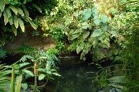 Burgers Zoo, Arnhem