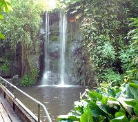 Burgers Zoo, Arnhem