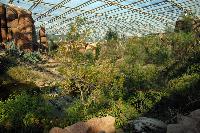 Burgers Zoo, Arnhem