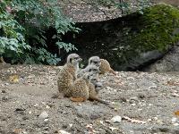 Burgers Zoo, Arnhem