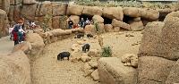 Burgers Zoo, Arnhem