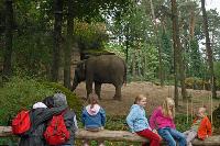 Burgers Zoo, Arnhem