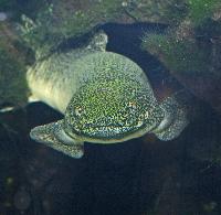 Aqua Zoo, Dusseldorf