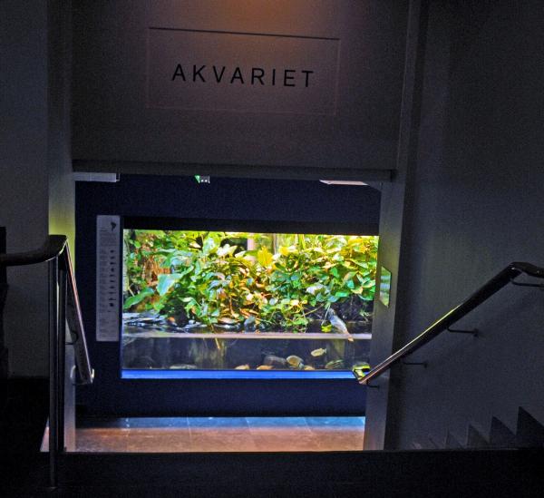 Integral Søjle feudale Sverige - Malmö Museum, Akvarium och Tropikarium