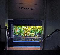 Malmö Museum, Akvariet