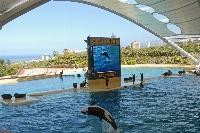 Loro Parque, Teneriffa-52