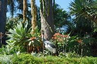 Loro Parque, Teneriffa-61