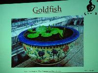 Fredag - Dick Au. Asian Fascination: The Ornamental Fish Hobby