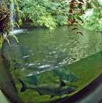 Berlin Aquarium