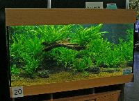 Planted Aquarium, Hannover 2008