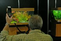 Planted Aquarium, Hannover 2008