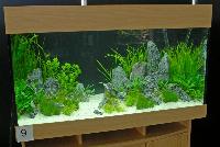 Planted Aquarium, Hannover 2008