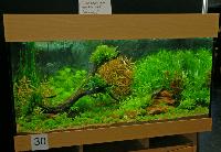 Planted Aquarium, Hannover 2008