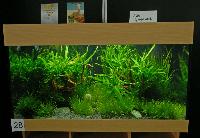 Planted Aquarium, Hannover 2008