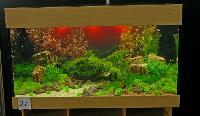 Planted Aquarium, Hannover 2008