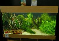 Planted Aquarium, Hannover 2008