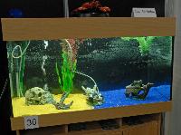 Planted Aquarium, Hannover 2008