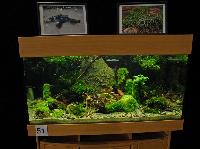 Planted Aquarium, Hannover 2008