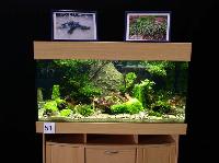 Planted Aquarium, Hannover 2008