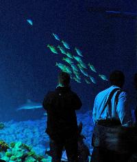 Tropen Aquarium Hagenbeck, Hamburg