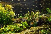 Tropen Aquarium Hagenbeck, Hamburg