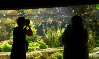 Tropen Aquarium Hagenbeck, Hamburg