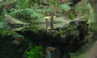 Tropen Aquarium Hagenbeck, Hamburg