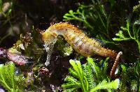 Tropen Aquarium Hagenbeck