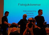 Ciklidstämman 2008 - sön - Fisksjukdomar