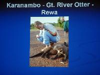 Lördag-Travels in the Rupununi - Jon Armbruster