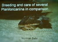 Söndag-Bredding and care of several Planiloricaria in comparsion - Norman Behr