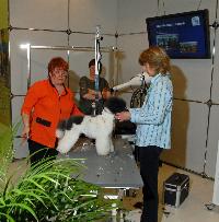 Interzoo 2008