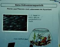 Nano - sötvattensakvaristik. Storleken är inte allt! Barbara Klingbeil