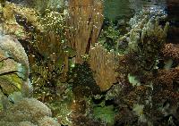 Osnabruck Zoo/Tetra Aquarium, Tyskland