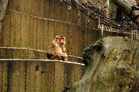 Osnabruck Zoo/Tetra Aquarium, Tyskland