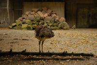 Osnabruck Zoo/Tetra Aquarium, Tyskland