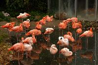 Osnabruck Zoo/Tetra Aquarium, Tyskland