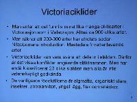 Viktoriaciklider/Albin Ekenberg